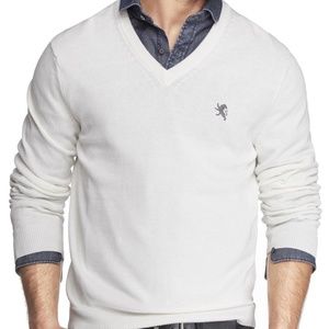 Express Men's Small Lion Cotton V-Neck Sweater